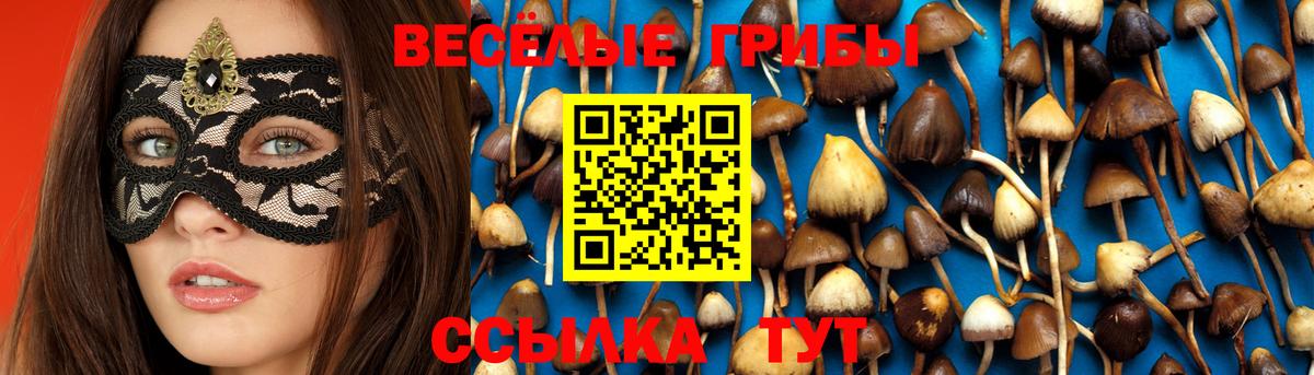 Псилоцибиновые грибы Magic Shrooms Владимир